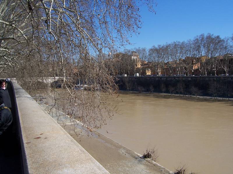 53a.jpg